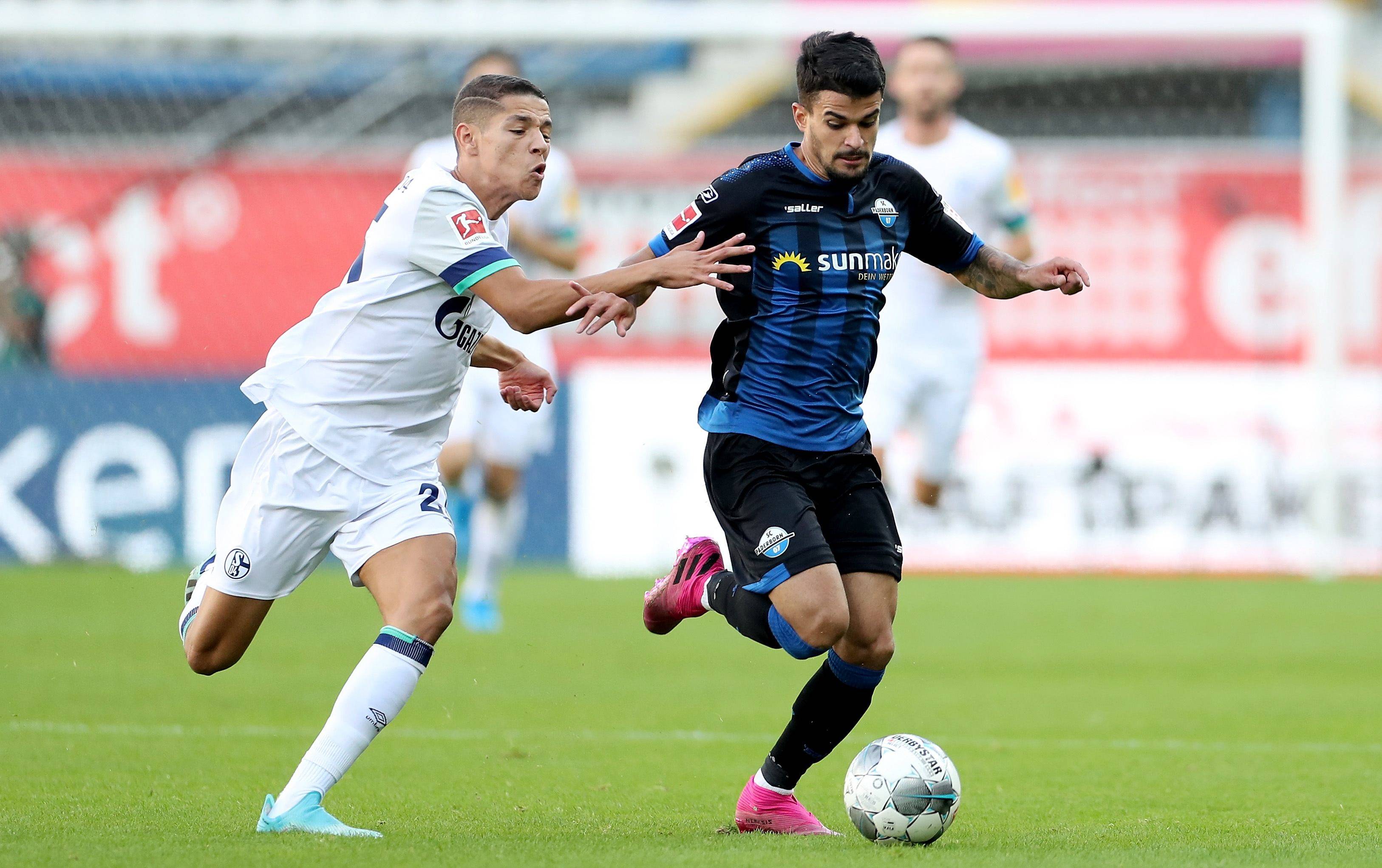 开云下载-关于沙尔克升入德乙，球迷期待回顶级的信息