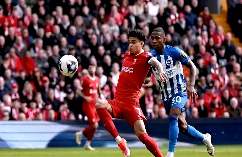 开云官网-阿森纳老将宣布退役，球迷感慨不已的简单介绍