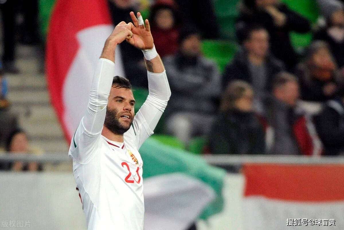 威尔士队胜出时刻，保加利亚队备受打击的简单介绍