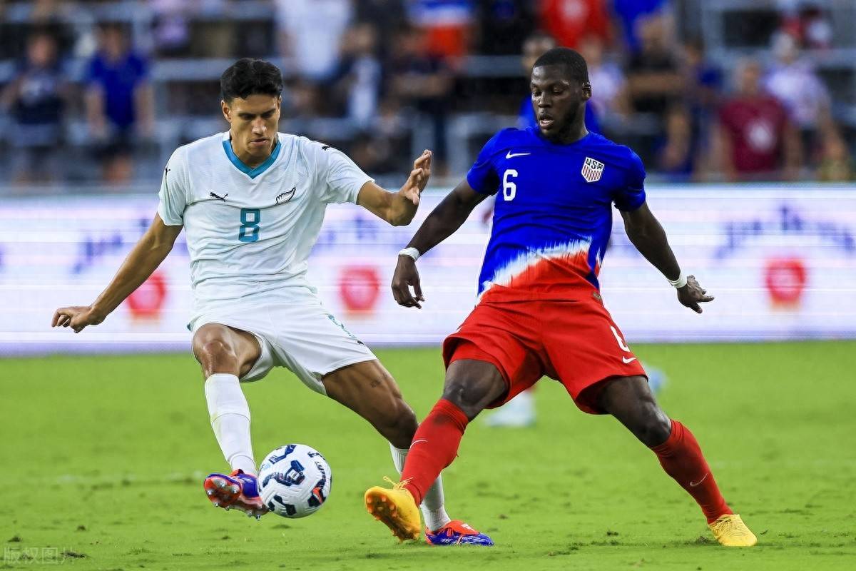 球队主场比赛中实现完美表现，大获全胜