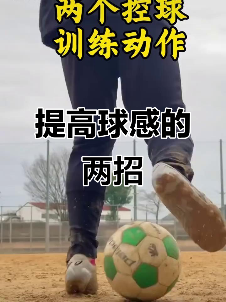 传球控球技巧出众，助球队连续击败对手